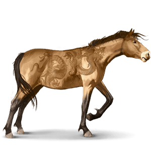 divji konj misaki