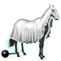 samorog poni duh