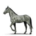 poni gaunt