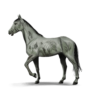 poni gaunt