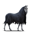 pegaz poni spectre