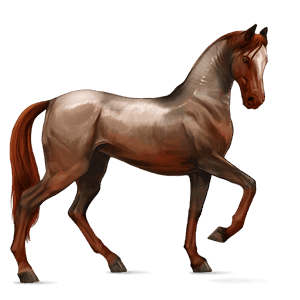 jahalni konj jagodno rdečkasto siv