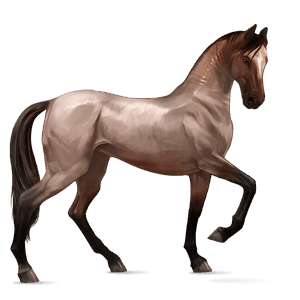 jahalni konj camargue pikasto siva