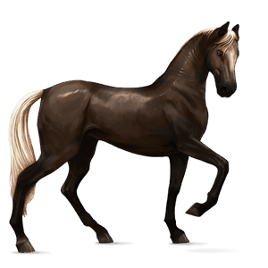 jahalni konj tennessee walker Češnjevo rdečkasto rjava