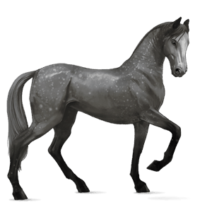 jahalni konj francoski kasač rdečkasto rjava