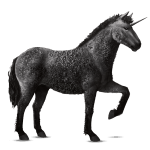 samorog za jezdenje curly konj Črna tobiano