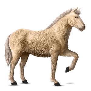 jahalni konj curly konj palomino