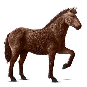 jahalni konj appaloosa rdečkasto rjava z belim zadkom 