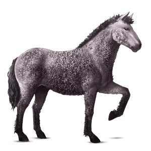 poni new forest rdečkasto rjava