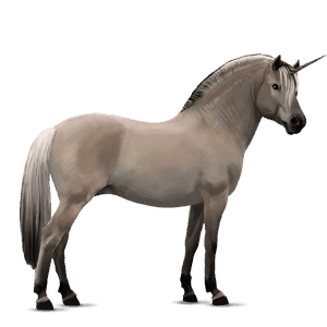 samorog poni belgijski jahalni poni svetlo siva