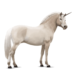 samorog poni fjord gulblakk