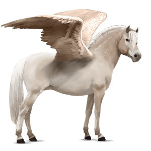 pegaz poni fjord brunblakk