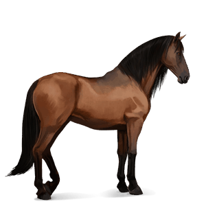 jahalni konj tennessee walker temno rdečkasto rjava