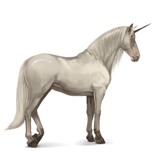 samorog za jezdenje paint Črna tobiano