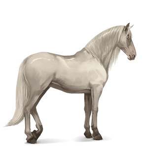 jahalni konj polnokrvni španski konj svetlo siva