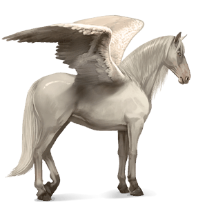 krilati konj za jezdenje akhal-teke cremello