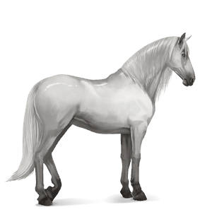 jahalni konj polnokrvni španski konj svetlo siva
