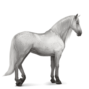 jahalni konj camargue pegasto siva