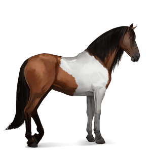 jahalni konj tennessee walker temno rdečkasto rjava