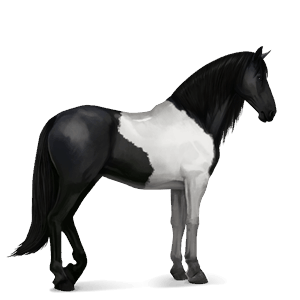 jahalni konj kostanjeva z belim pikčastim zadkom 
