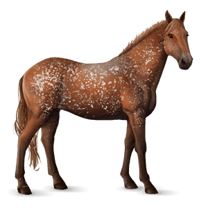 jahalni konj tennessee walker svetlo siva