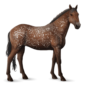jahalni konj tennessee walker svetlo siva