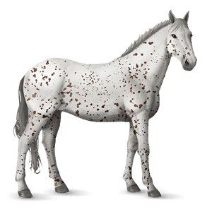 jahalni konj tennessee walker temno rdečkasto rjava
