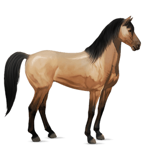 jahalni konj tennessee walker sivo rjava