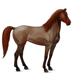 jahalni konj tennessee walker rdečkasto rjava