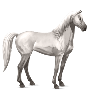 jahalni konj tennessee walker svetlo siva