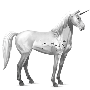 samorog za jezdenje polnokrvni španski konj svetlo siva