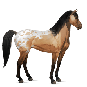 jahalni konj Češnjevo rdečkasto rjava