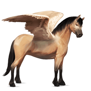 pegaz poni Šetland Črna