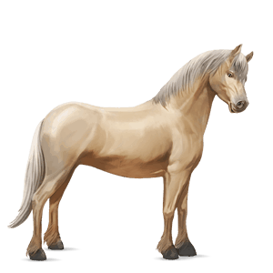 poni laneno kostanjeva 