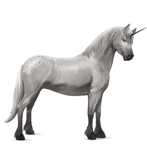 samorog poni highlandski poni svetlo siva