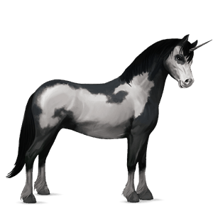 samorog poni fjord brunblakk
