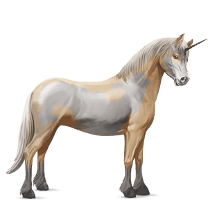 samorog poni Šetland palomino tobiano