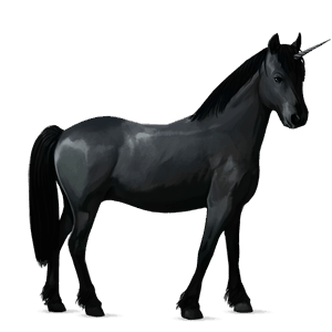 samorog poni Črna
