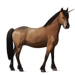 samorog poni novofundlandski poni rdečkasto rjava
