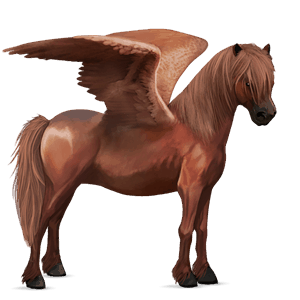 pegaz poni highlandski poni laneno temno kostanjeva 