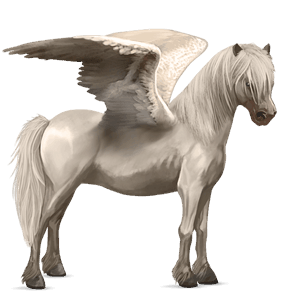 pegaz poni Šetland cremello