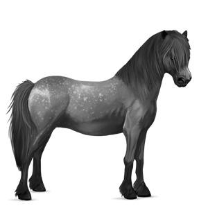 poni welški Češnjevo rdečkasto rjava