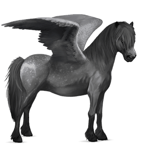 pegaz poni pikasto siva