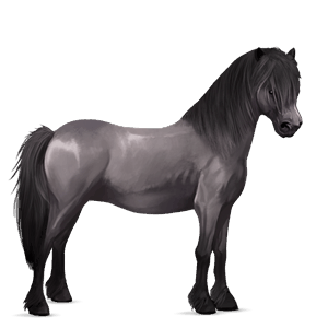 poni Črna