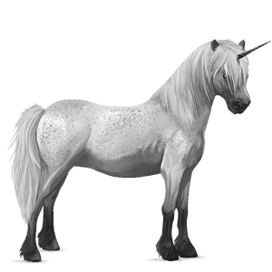 samorog poni pikasto siva