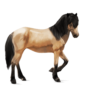 poni new forest temno kostanjeva