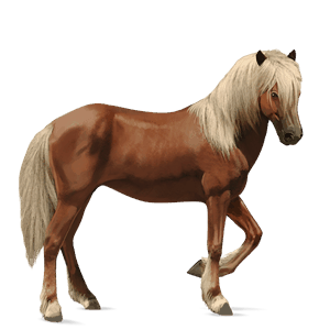 jahalni konj tennessee walker kostanjeva