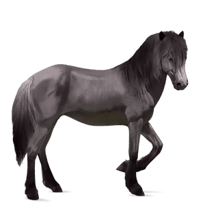 jahalni konj tennessee walker temno rdečkasto rjava