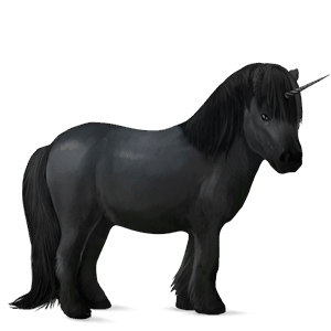samorog poni Šetland Črna