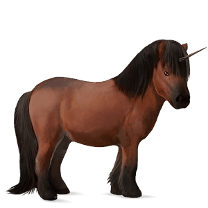 samorog poni Črna